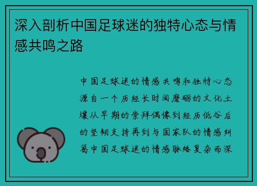 深入剖析中国足球迷的独特心态与情感共鸣之路