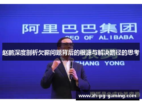 赵鹏深度剖析欠薪问题背后的根源与解决路径的思考