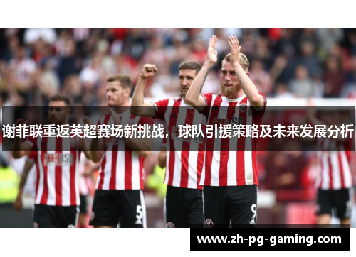 谢菲联重返英超赛场新挑战，球队引援策略及未来发展分析